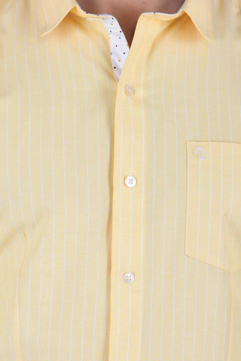Pin Stripe Shirt